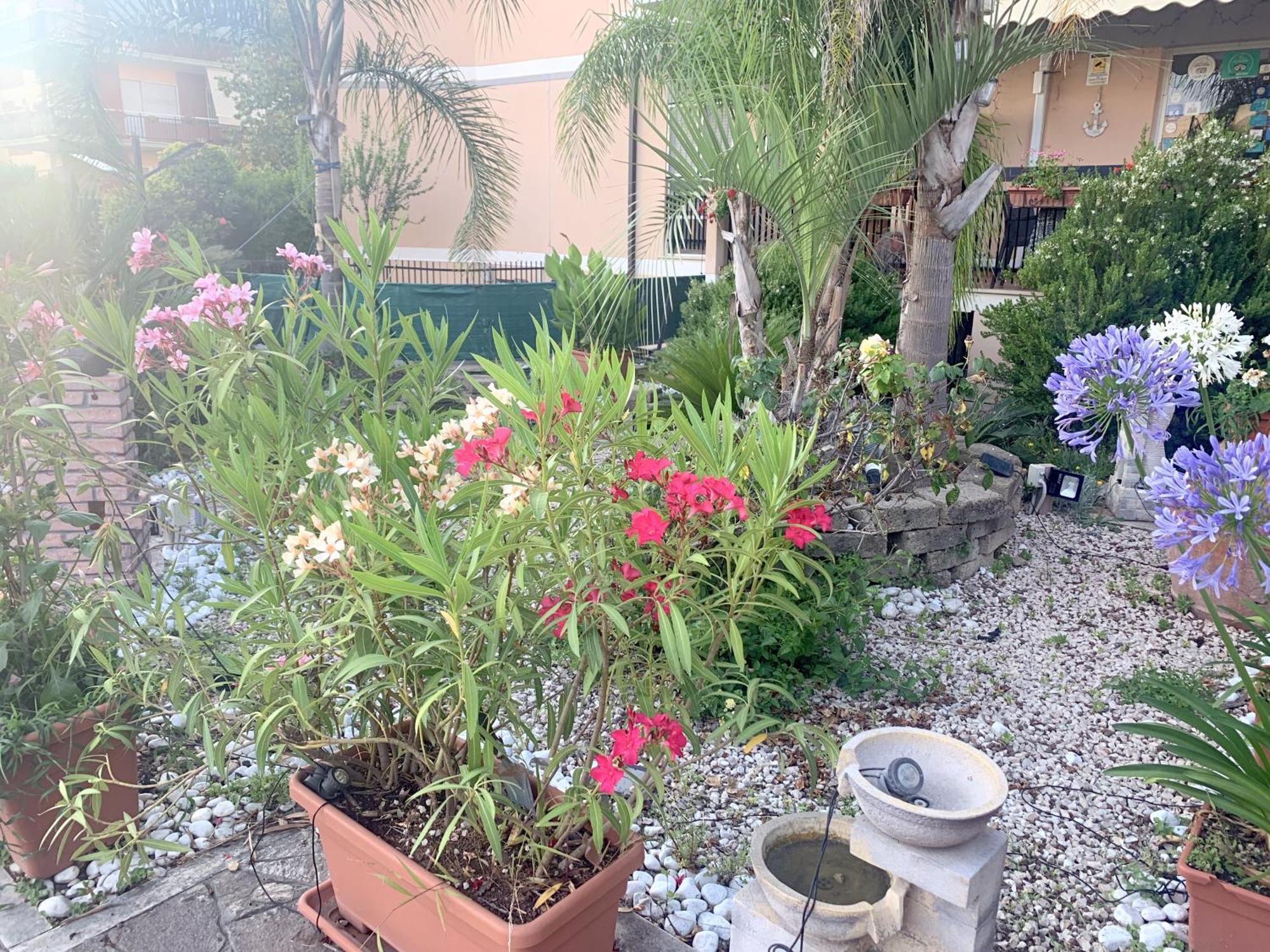 Bed and Breakfast Il Giardino Di Adriana à Terracine Extérieur photo
