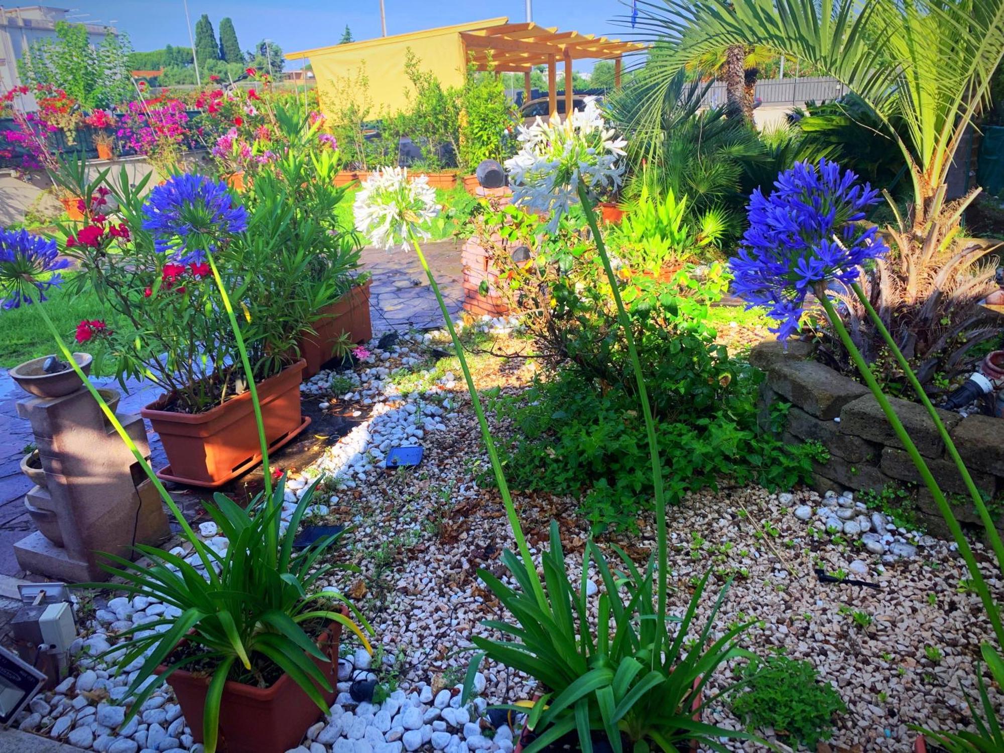 Bed and Breakfast Il Giardino Di Adriana à Terracine Extérieur photo